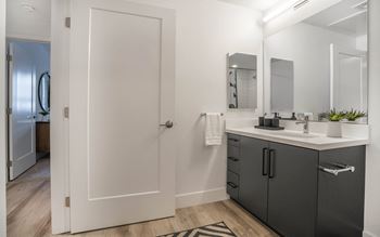 a bathroom with a sink and a mirror and a closet